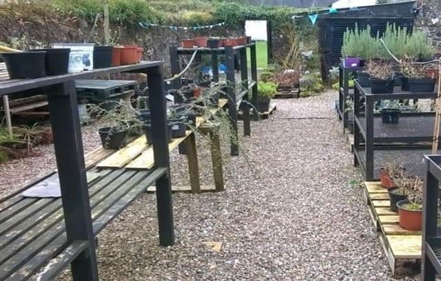 The Drying Yard at Springhill where the Community Gardening activities will take place. Credit: Submitted