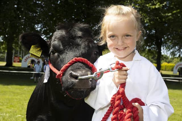 Little Sara Jane Lester with her prized Dexter Calf at last weekend’s Lurgan Show.