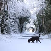 A Met Office yellow warning for snow is in place for Northern Ireland from 9am on Thursday to 6am on Friday. Picture: Stephen Davison / Pacemaker