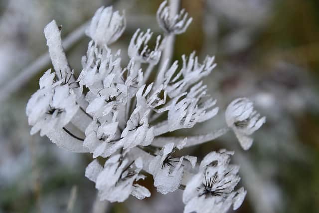 Frosty nights with sub-zero temperatures are forecast to last until at least the middle of this week as the cold snap grips Northern Ireland. Picture: Arthur Allison/Pacemaker Press.