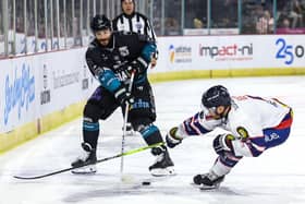 Belfast Giants’ JJ Piccinich during a Challenge Cup at the SSE Arena, Belfast.  Photo by William Cherry/Presseye