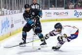 Belfast Giants’ JJ Piccinich during a Challenge Cup at the SSE Arena, Belfast.  Photo by William Cherry/Presseye