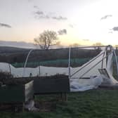 Community-owned Jubilee Farm has appealed for help after Storm Éowyn caused significant damage to it polytunnels.  Photo: Jubilee Farm