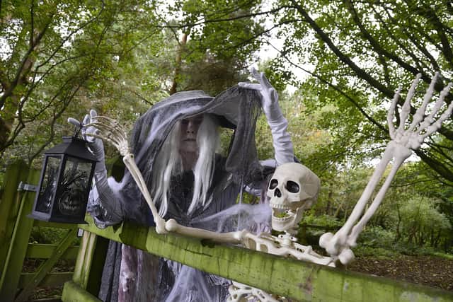 The ever-popular Halloween Happenings events are set to return to Coleraine, Limavady, Ballycastle and Ballymoney. Credit Causeway Coast and Glens Borough Council