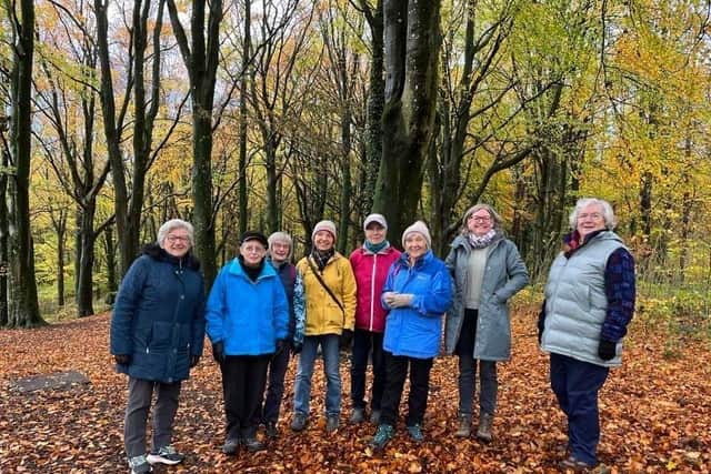 Members of u3a walking in Portglenone Forest. The group for retired and semi-retired people has a lot of activities going on all year round. Credit: Sperrin u3a