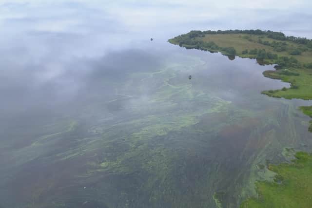 Aerial drone footage of Lough Neagh which has been plagued by the grim gloopy green algae which is toxic to humans and fatal to dogs.