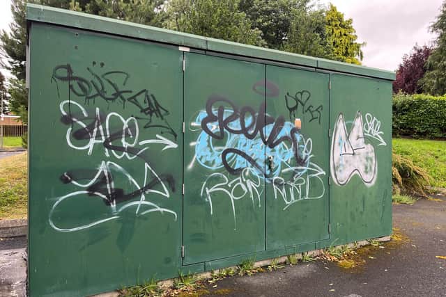 Upper Bann MP Carla Lockhart is on a mission to remove graffiti from Portadown, Lurgan, Craigavon and wider Upper Bann areas.