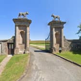 This sapling is to be planted out at the Lion's Gate Downhill at 11am on Wednesday 12th June and will be under the care of the National Trust. Credit Google Maps