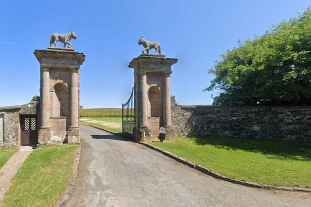 This sapling is to be planted out at the Lion's Gate Downhill at 11am on Wednesday 12th June and will be under the care of the National Trust. Credit Google Maps