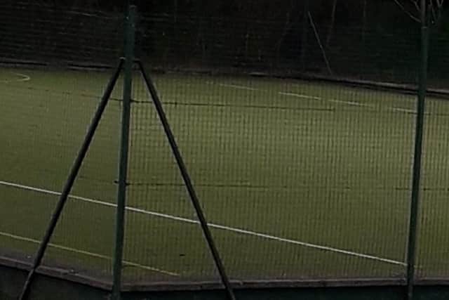 Larne Town Park pitch. Pic: Local Democracy Reporting Service