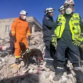 Kyle Murray from Portadown and his dog Delta who, as part of the K9 Search and Rescue NI, are in Turkey helping to find survivors of the recent earthquake.