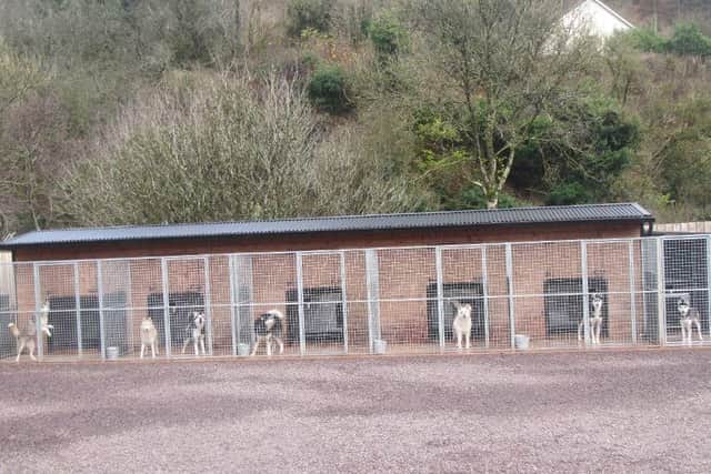 Up to 16 huskies will be homed at the Ballynahaye Road site at any given time. Credit: Mid Ulster planning portal