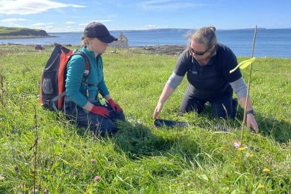 Life Raft Rathlin DAERA Minister Muir announces £78k funding for Rathlin LIFE Raft ...