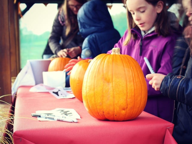 The JungleNI returns once again to host everything Halloween for the wee ones. Spanning over three fun-filled and spooky hours, the day is set to include pumpkin picking and carving, a haunted hay cart ride, a quad train, face painting and marshmallow toasting. Additionally, adventure activities will also be available, including archery, the climbing wall, rodeo bull, bungee trampolines and paintball target shooting.
For more information, go to thejungleni.com/event/halloweeuns/