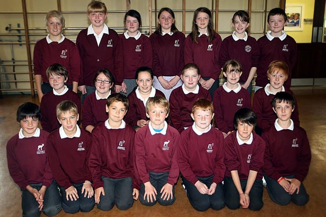 Annahilt Primary School Primary Seven Class in 2011