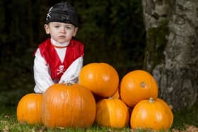 Jackson Witherow looks forward to Halloween with his pumpkins at Somerset Forest outside Coleraine.