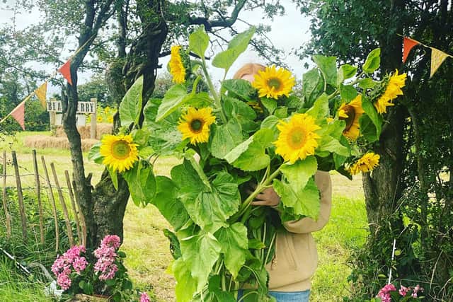 You can take home a bunch of sunflowers to remind you of your visit to Blackberry Farm. Pic credit: Blackberry Farm