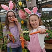 Millie (age 10) and Evie (age 7) Mitchell are looking forward to Easter fun at Dobbie. Pic by Stewart Attwood