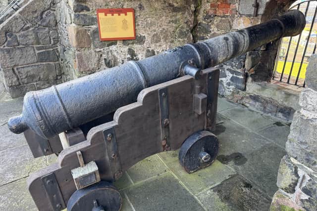 The cannons have been identified by Royal Armouries as British, six-pounder, cast-iron smooth-bore guns on a wooden garrison carriage, dating from around 1717. Photo: DfC