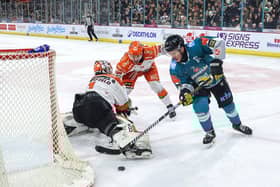 Belfast Giants’ Josh Roach scoring against Sheffield Steelers at the SSE Arena, Belfast. Photo by William Cherry/Presseye