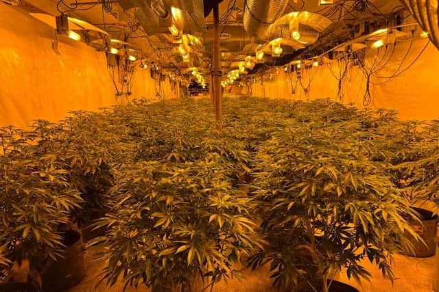 Detectives from the PSNI’s Organised Crime Branch seized a large quantity of Class B controlled drugs following a search of a property in the Colane Road area of Aghagallon near Lurgan on Tuesday, June 10. Picture: PSNI