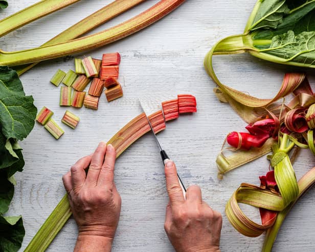 Enjoy a variety of delicious dishes created with rhubarb. Picture: unsplash