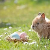 The Met Office is forecasting a period of unsettled weather in Northern Ireland over Easter. Picture: pixabay