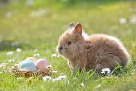 The Met Office is forecasting a period of unsettled weather in Northern Ireland over Easter. Picture: pixabay