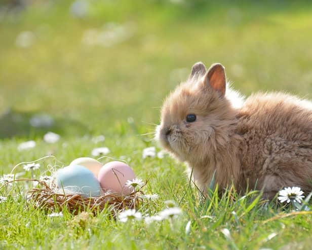 The Met Office is forecasting a period of unsettled weather in Northern Ireland over Easter. Picture: pixabay