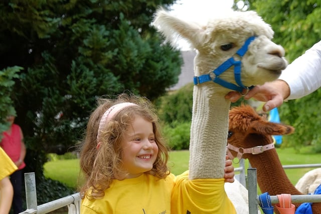 Elsie Daffurn meets Apollo the Alpaca at the Garden Open Day in aid of N. Ireland Kidney Research Fund. CREDIT: LiamMcArdle.com