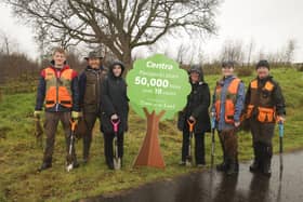 Centra Claudy staff visit volunteers at Faughan Valley CIC which received 300 trees