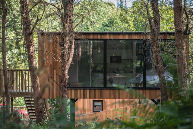 Located on the scenic north coast, these boutique forest lodges offer an escape to the treetops in the middle of a forest. 
Unlike most lodges, Burrenmore offers an outdoor whirlpool for you to bathe and relax under the night sky. You can also take in the views of the forest whilst gazing out of the panoramic floor-to-ceiling windows. 
If you want to go exploring, there are 82 hectares of forest surrounding the site. You could take a quick seven-minute walk to visit the Lion's Gate entrance to Mussenden Temple and grab a hot drink at Al's Coffee Hut, or explore the wider 100 acres of the National Trust estate, free for public access.
For more information, go to burrenmore-nest.com