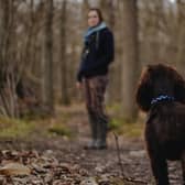 Pet owners have been urged to take care after dogs were believed to be poisoned during a trip to Hillsborough Forest Park. Picture: Matt Bradford-Aunger / Unsplash.