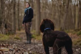 Pet owners have been urged to take care after dogs were believed to be poisoned during a trip to Hillsborough Forest Park. Picture: Matt Bradford-Aunger / Unsplash.