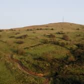 Woodland Trust site at Belfast Hills. Pic supplied by Antrim and Newtownabbey Borough Council