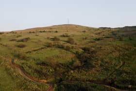 Woodland Trust site at Belfast Hills. Pic supplied by Antrim and Newtownabbey Borough Council