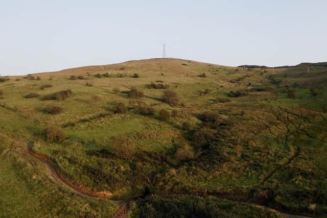 Woodland Trust site at Belfast Hills. Pic supplied by Antrim and Newtownabbey Borough Council