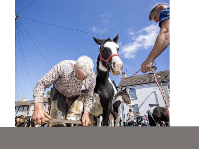 The horses are always a highlight of the annual Lammas Fair.