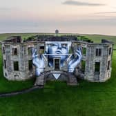 A  towering new piece of work by acclaimed artist Joe Caslin has taken over Downhill House. Credit Nerve Centre