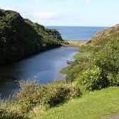 Council has accepted a proposal for a walking trail within Downhill Forest. Credit Causeway Coast and Glens Council