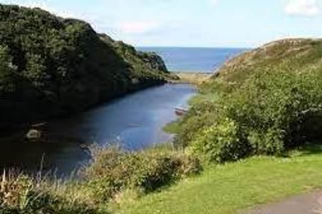 Council has accepted a proposal for a walking trail within Downhill Forest. Credit Causeway Coast and Glens Council