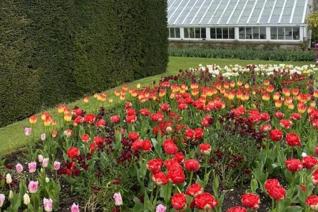Glenarm Castle, the ancestral seat of the McDonnell family, is a favourite spot for many people and Joanne Troulan shared this lovely photo of part of the castle's beautiful garden during tulip season.