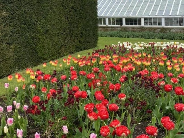 Glenarm Castle, the ancestral seat of the McDonnell family, is a favourite spot for many people and Joanne Troulan shared this lovely photo of part of the castle's beautiful garden during tulip season.