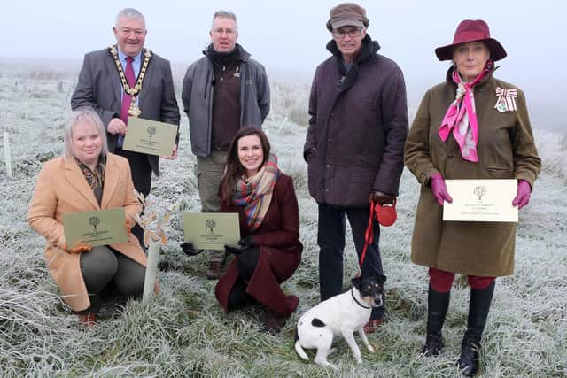 The Mayor of Causeway Coast and Glens Borough Council, Councillor Ivor Wallace, Coast and Countryside Officer Michael McConaghy, Alan Millar, the Lord Lieutenant of County Londonderry, Alison Millar, Alderman Michelle Knight McQuillan, Chair of Council’s Platinum Jubilee Working Group, and Leona Kane, Deputy Lieutenant of County Londonderry, pictured at Letterloan where thousands of new trees have been planted as part of the Queen’s Green Canopy.