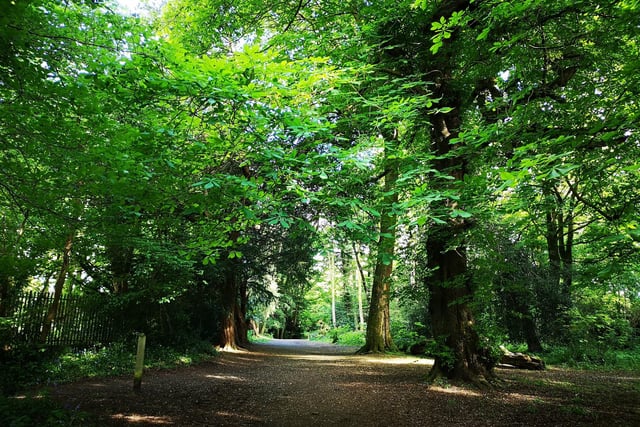 Belvoir Park Forest has a great woodland walk, with varying paths depending on your chosen length and gradient. Winding through meadows and along the banks of the River Lagan, there are great sights to be seen along every course on offer.