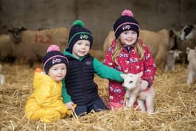 Bank of Ireland Open Farm Weekend is back for 2024 and two local farms are taking part. CREDIT OPEN FARM WEEKEND