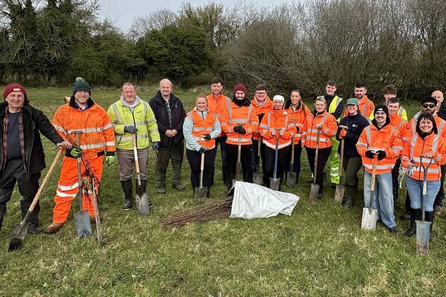 ABC Council staff along with volunteers from the Department for Infrastructure (DfI) Rivers, Amey and The Conservation Volunteers planted 500 native trees. Picture: ABC Borough Council