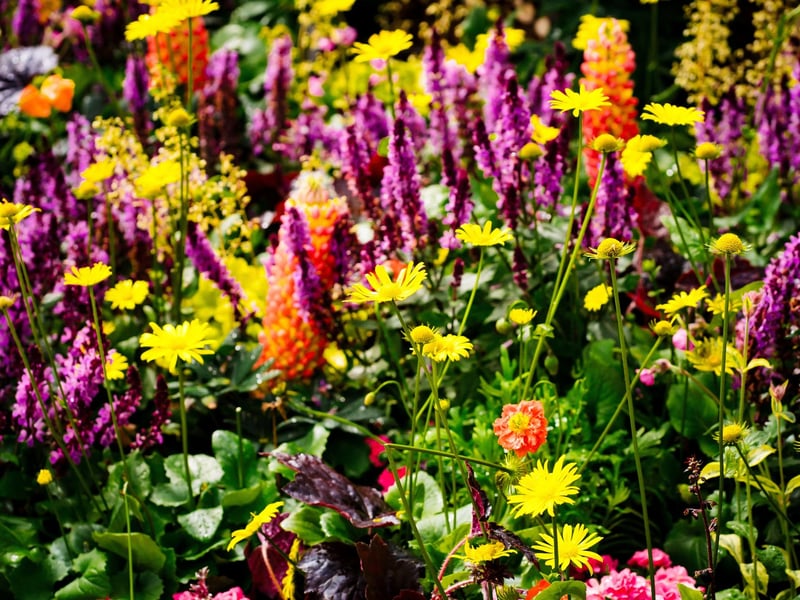 Garden Show Ireland serves up a feast for the senses.