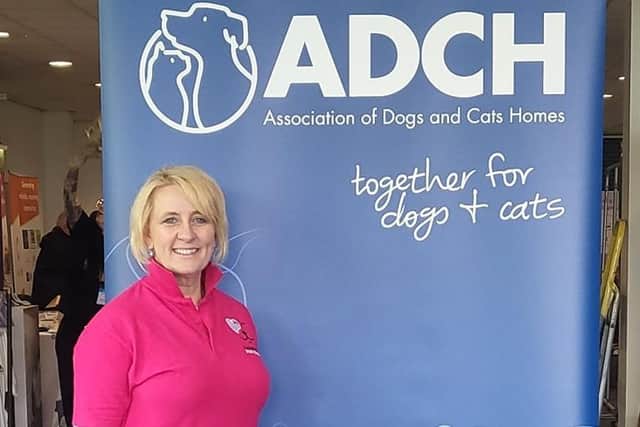 Tara Cunningham, Manager and Animal Welfare Lobbyist, Causeway Coast Dog Rescue. Credit CCDR