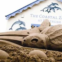 Portrush Coastal Zone celebrates major milestone in visitor numbers